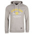 Фото #1 товара O´NEILL State Hoodie