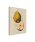 Фото #2 товара Wild Apple Portfolio Tournay V2 Canvas Art - 15" x 20"