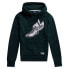 SUPERDRY Collegiate State hoodie