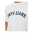 Фото #4 товара Pepe Jeans PM509220801