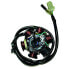 Фото #1 товара KOKUSAN 6 Polos 12V 100W Motor SYM 125/150 4T Stator