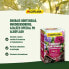 Фото #3 товара Удобрение: ALGOFLASH NATURASOL - Dngemittel, Rhododendren und Azaleen - Algoflash Naturasol - pH -Spezial - 1 kg