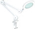 Фото #1 товара Beyamz LED Magnifying Lamp, Workplace Lamp, Cosmetic Lamp, 5-Dioptre 5x Magnification High Power Work Lamp with Lens with 125 mm Diameter, 1100 Lumens, Dimmable, Bright, with Clamp, Swivel Arm