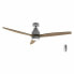 Ceiling Fan Cecotec