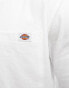 Dickies luray pocket t-shirt in white