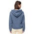 SUPERDRY Rainbow Logo Graphic hoodie