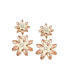 Фото #1 товара Women's Botanical Drop Earrings