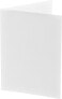 Daiber Etui paszportowe Profi-Line, biały, 7x10cm, 100szt. (14031)