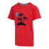 ფოტო #6 პროდუქტის REGATTA Bosley VII short sleeve T-shirt