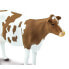 SAFARI LTD Ayrshire Cow Figure