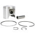 Фото #1 товара WSM Sea-Doo 650 0.50 mm 010-816-05K Piston Kit