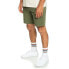 QUIKSILVER Krandystshrt shorts