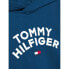 TOMMY HILFIGER Flag hoodie