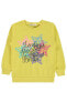 Фото #1 товара Kız Çocuk Sweatshirt 2-5 Yaş Sarı