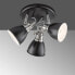Фото #2 товара Потолочный светильник Fischer & Honsel Wales 3-ламповый