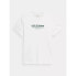 Outhorn M OTHSS23TTSHM451-10S T-shirt