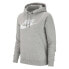 Фото #1 товара Nike Essential Hoodie PO Hbr