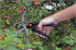 Фото #4 товара Секатор садовый Fiskars 111960 - Bypass - Металлический - Черный - Нержавеющая сталь - 23 см - 270 г