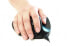 Фото #4 товара Bakker HandShoeMouse Righthanded Small - Right-hand - BlueTrack - USB Type-A - Black