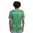 Фото #3 товара UMBRO Ireland Iconic Graphic short sleeve T-shirt