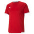 PUMA TeamLiga short sleeve T-shirt