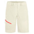 Фото #1 товара SALEWA Isea Dryton Shorts Pants