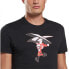 ფოტო #5 პროდუქტის REEBOK Holiday Cotton short sleeve T-shirt