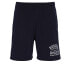 Фото #1 товара RUSSELL ATHLETIC AMR A30091 Shorts