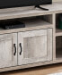 Modern Farmhouse TV Stand with 2 Doors