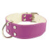 YOUPET Bull Dog 70x4 cm Dog Collar