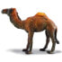 Фото #1 товара COLLECTA Dromedary Figure