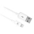 EWENT EW9902 2 m USB-A To Lightning Cable