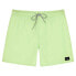 Фото #1 товара RIP CURL Daily Volley Swimming Shorts