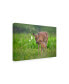 Фото #2 товара Nick Kalathas Tender Moment Deer Canvas Art - 20" x 25"