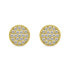 Elegant gold-plated stud earrings with zircons EA570Y