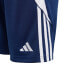 Фото #4 товара Adidas Tiro 24 Jr shorts IR9369