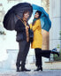 Фото #4 товара Зонт Blooming Brollies EDSM169 Gentlemen's Powershoot