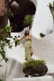 Фото #3 товара Платье миди из смесового льна с цветочным принтом ZARA
