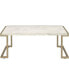 Boice II Coffee Table in Faux Marble & Champagne