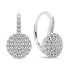 Фото #1 товара Charming silver earrings with clear zircons EA379W