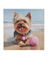 Фото #1 товара Beach Dogs Yorkie Canvas Wall Art