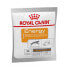 ROYAL CANIN Energy Booster 50g Wet Dog Food - фото #1