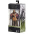 STAR WARS The Black Series Tusken Chieftain Figure