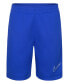 ფოტო #18 პროდუქტის Little Boys Dri-FIT Academy Shorts