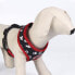 ფოტო #4 პროდუქტის CERDA GROUP Mickey Harness