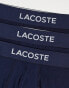 Lacoste 3 pack trunks in navy