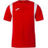 Фото #4 товара Joma Dinamo T-shirt 100446.600