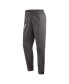 Men's Gray Minnesota Twins Authentic Collection Travel Player Performance Pants