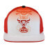 Фото #2 товара Бейсболка Mitchell&Ness NBA 1112 Draft Snapback HWC Chicago Bulls