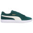 Фото #1 товара Puma Smash V2 Logo Lace Up Mens Green Sneakers Casual Shoes 36498967